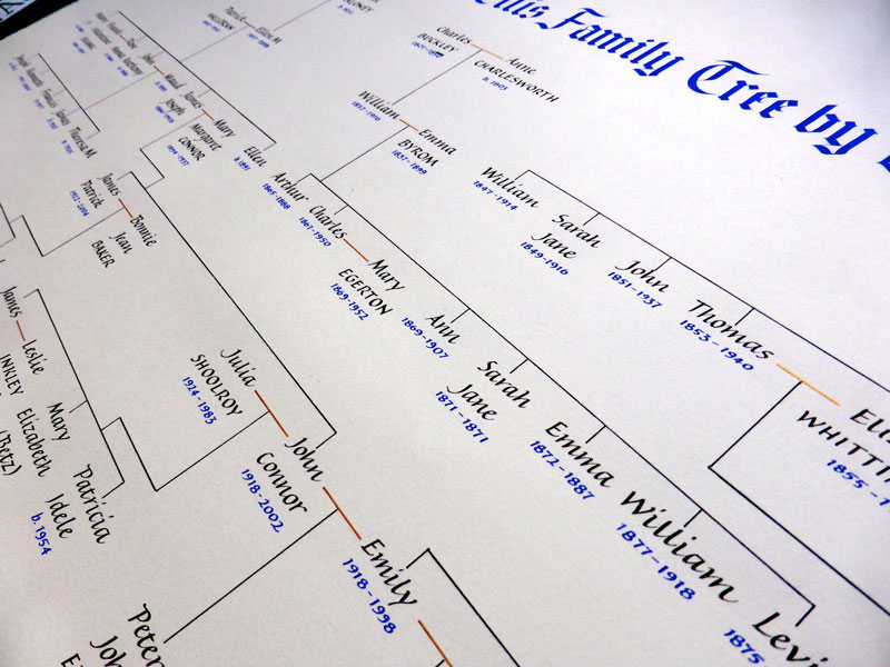 Family tree picture